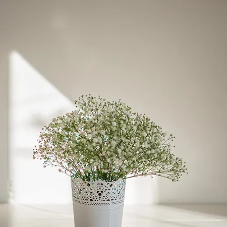 Boavista Dans La Mouraria *